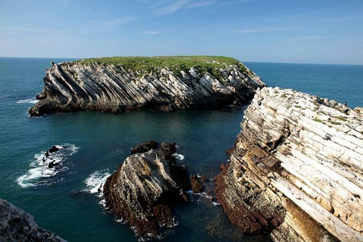 Ocean Vibes - Baleal House Villa Ferrel  Eksteriør bilde